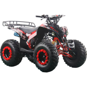 Квадроцикл детский Racer (Рейсер) EAGLE 125 красный (машинокомплект) Квадроцикл детский Racer (Рейсер) EAGLE 125 красный (машинокомплект)