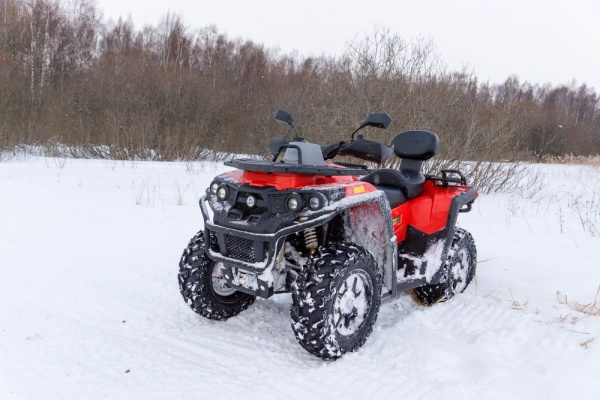 Квадроцикл RM 800 (машинокомплект) | Мототека Квадроцикл RM 800 (машинокомплект) | Мототека